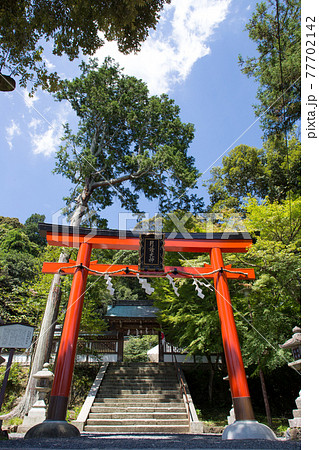 月読神社の夏景色 77702142