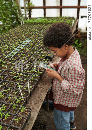 Boy using mobile phone in the garden Boy using mobile phone in the garden 77703625
