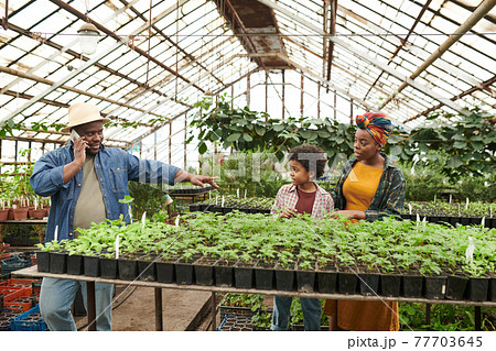 People growing vegetables People growing vegetables 77703645