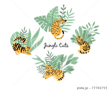 Cats tigers in jungle plants Cats tigers in jungle plants 77703755