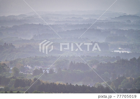 三ツ石森林公園　朝靄とともに 77705019