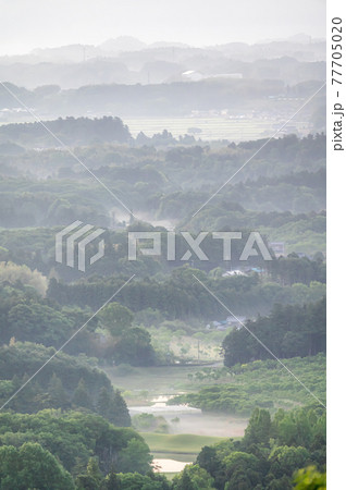 三ツ石森林公園　朝靄とともに 77705020