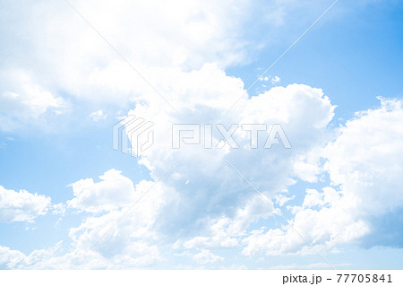 Image photo 77705841