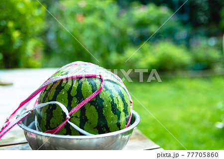 Image photo Image photo 77705860