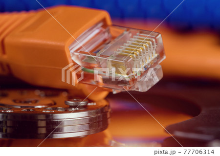 Selective focus at internet network cables connected with online storage files backup Selective focus at internet network cables connected with online storage files backup 77706314
