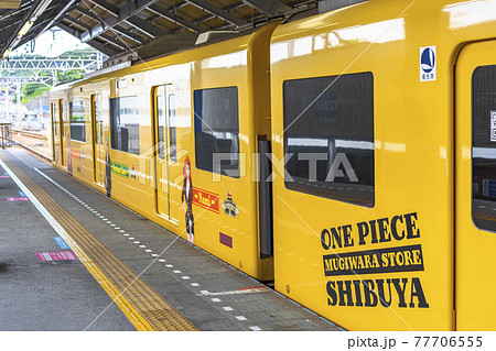神奈川 横須賀 One Piece麦わらストア渋谷本店のシールでラッピングされた横須賀線の電車 の写真素材