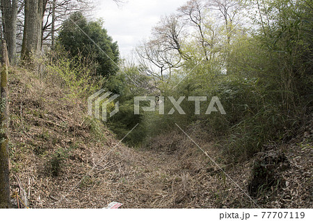 松尾城跡 大洞 松尾城跡 大洞 77707119