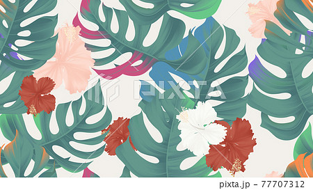 Tropical seamless pattern, colorful split-leaf Philodendron plant and hibiscus flowers 77707312