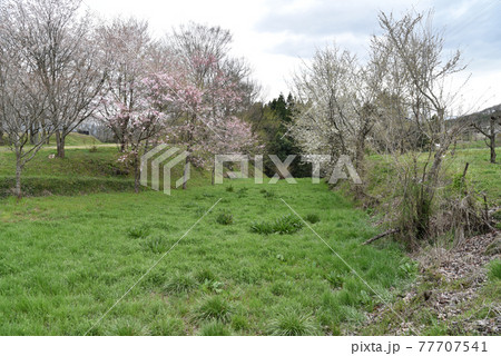 鈴岡城跡　外郭空堀 77707541