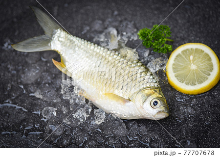 Fresh fish lemon top view, Silver Barb fish on ice, Java Barb Carp Fish on market food on dark background Fresh fish lemon top view, Silver Barb fish on ice, Java Barb Carp Fish on market food on dark background 77707678
