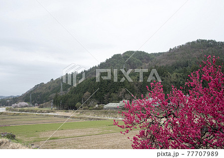 駒場城跡全景 77707989