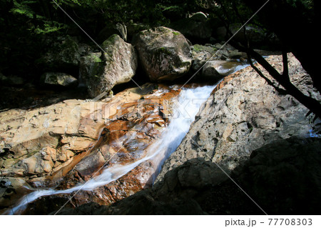 滑床渓谷 77708303