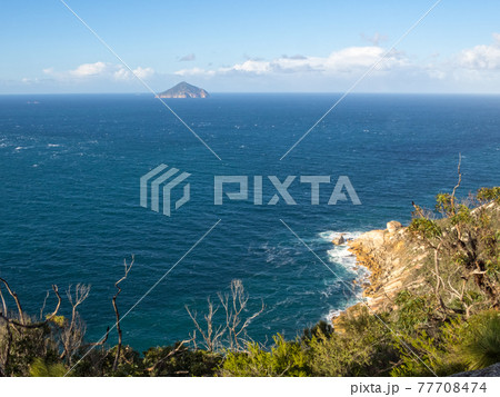 Rodondo Island - Wilsons Promontory 77708474