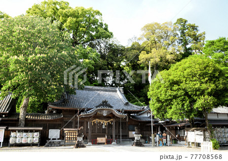 尾鷲神社　拝殿【三重県尾鷲市】 77708568