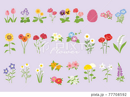 いろいろな花のイラスト素材