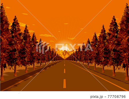 夕焼けの並木道のイラスト素材 [77708796] - PIXTA
