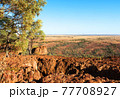 The Plains surrounding the town of Winton, in western Queensland, Australia 77708927