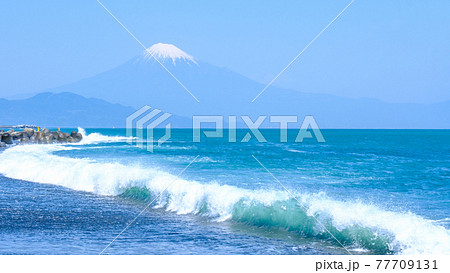 三保の松原から富士山を望む 77709131