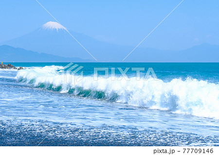 三保の松原から富士山を望む 三保の松原から富士山を望む 77709146