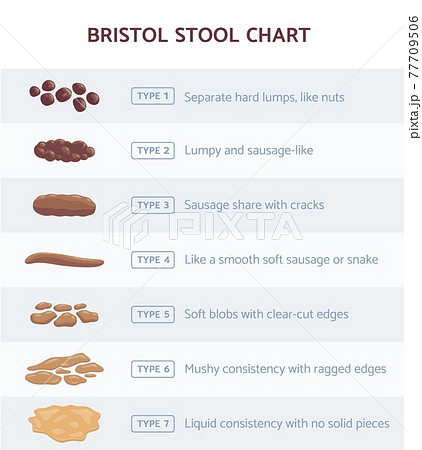 Bristol Stool Chart Tool For Faeces Type Classification Vector ...