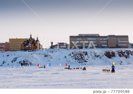Dog sledding race. Mushers in sleds, harnessed to dog teams ride on the ice Anadyr estuary. 77709586