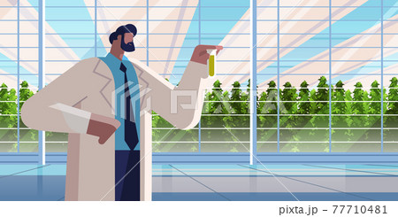 agricultural engineer holding test tube with chemicals man farmer researching plants in greenhouse agriculture scientist 77710481