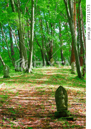 森の中の石仏　　　古来の石碑　　古来の石仏　その2105 77711575