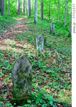 森の中の石仏 古来の石碑 古来の石仏 その2105 森の中の石仏 古来の石碑 古来の石仏 その2105 77711577