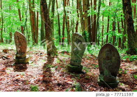 森の中の石仏　　　古来の石碑　　古来の石仏　その2105 77711597