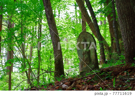 森の中の石仏　　　古来の石碑　　古来の石仏　その2105 77711619