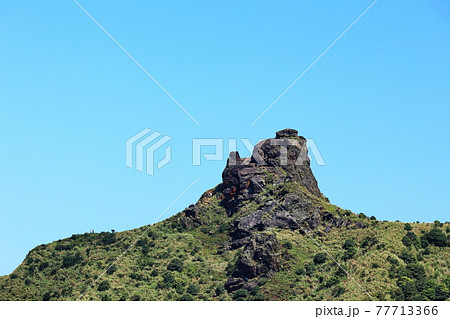 台湾 鶏冠 とさか 77713366