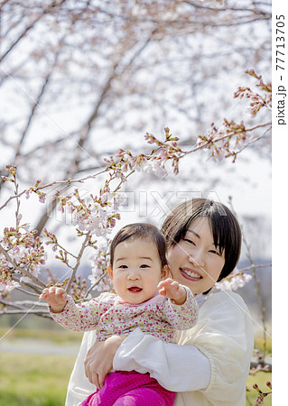 桜の咲く公園で遊ぶ母と娘 77713705