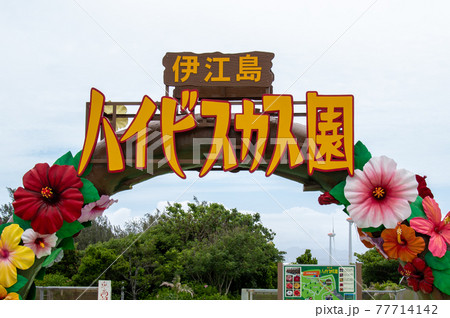 伊江島ハイビスカス園の正面ゲート 伊江島ハイビスカス園の正面ゲート 77714142