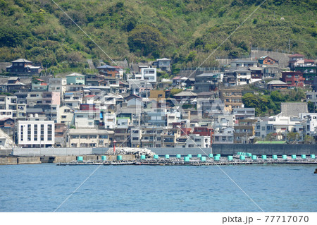 保戸島の街並です 保戸島の街並です 77717070