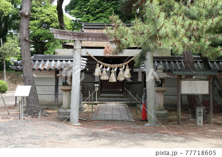 西尾市歴史公園の御剱八幡宮（愛知県西尾市） 77718605