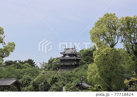 西尾市歴史公園の本丸丑寅櫓（愛知県西尾市） 77718624