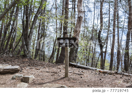 道満山山頂 道満山山頂 77719745