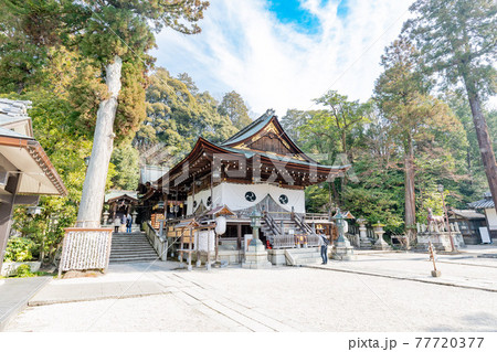 滋賀県近江八幡市 日牟禮八幡宮 拝殿 滋賀県近江八幡市 日牟禮八幡宮 拝殿 77720377