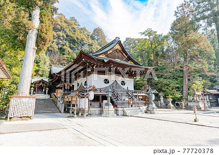 滋賀県近江八幡市　日牟禮八幡宮　拝殿 77720378