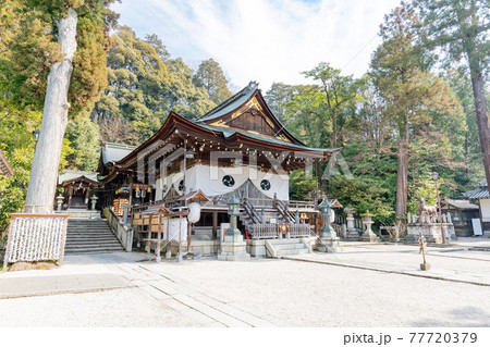 滋賀県近江八幡市 日牟禮八幡宮 拝殿 滋賀県近江八幡市 日牟禮八幡宮 拝殿 77720379
