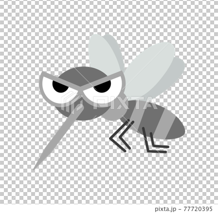 蚊子的插圖圖像 蚊子的插圖圖像 77720395