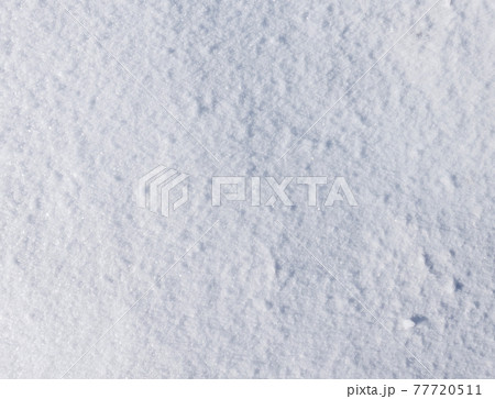 Fresh snow Fresh snow 77720511