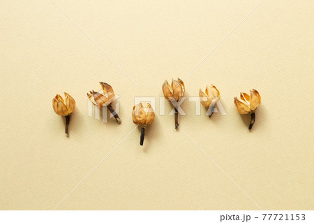 Dry flowers on beige background. flat lay, top view, copy space Dry flowers on beige background. flat lay, top view, copy space 77721153