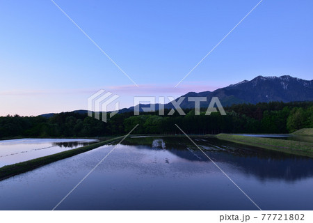 北杜市白州町、アルプスを映す田植え待つ水田の夜明け 北杜市白州町、アルプスを映す田植え待つ水田の夜明け 77721802