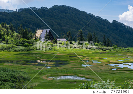 高谷池と高谷池ヒュッテ 77721905