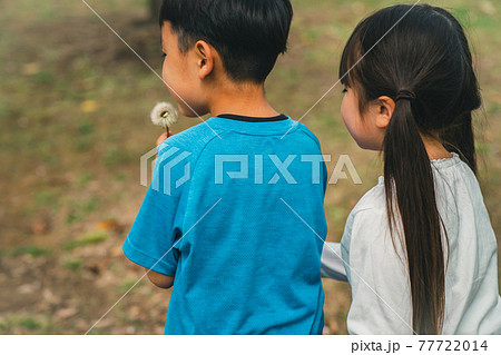 たんぽぽの綿毛を吹く子供2人 77722014