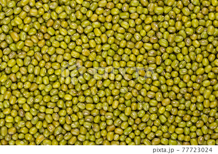 Mung beans, background, from above. Also known as green gram, maash, moong, monggo or munggo. Whole, dried, raw seeds of Vigna radiata, a legume, used cooked or sprouted. Backdrop. Macro, food photo. Mung beans, background, from above. Also known as green gram, maash, moong, monggo or munggo. Whole, dried, raw seeds of Vigna radiata, a legume, used cooked or sprouted. Backdrop. Macro, food photo. 77723024