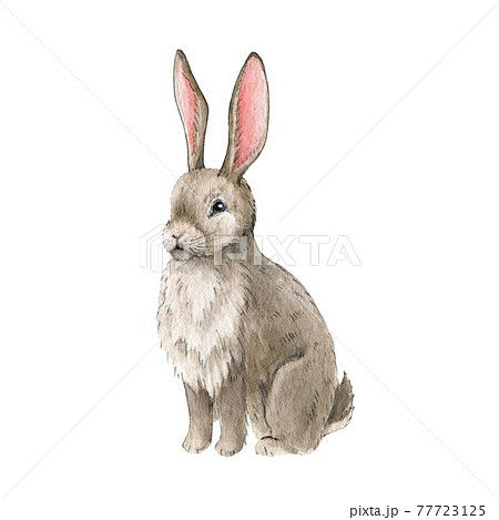 Hand made toy 1. Watercolor creepy rabbit Stock Illustration