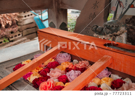 花手水 花手水 77723311