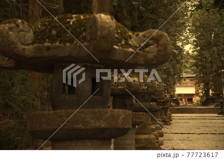 参道 参道 77723617